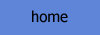Home button